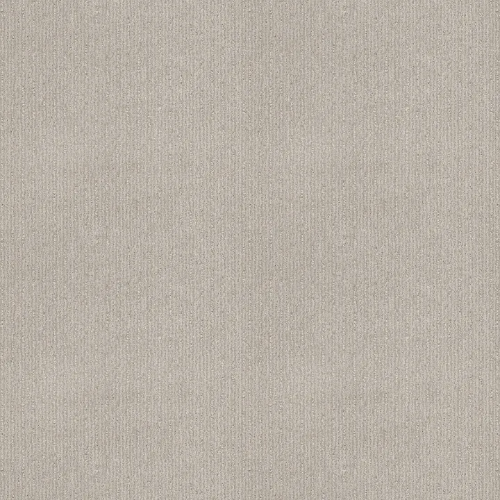 Shaw Floors Insightful Way — Rock Crystal · E9719-00574 — flooring selection with LeviArs Design & Remodeling