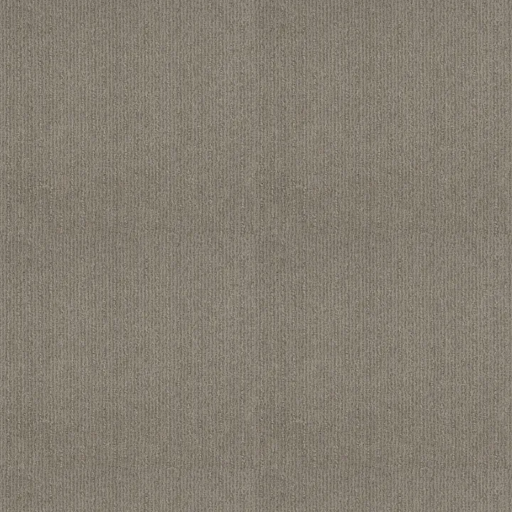Shaw Floors Insightful Way — Silhouette · E9719-00573 — flooring selection with LeviArs Design & Remodeling