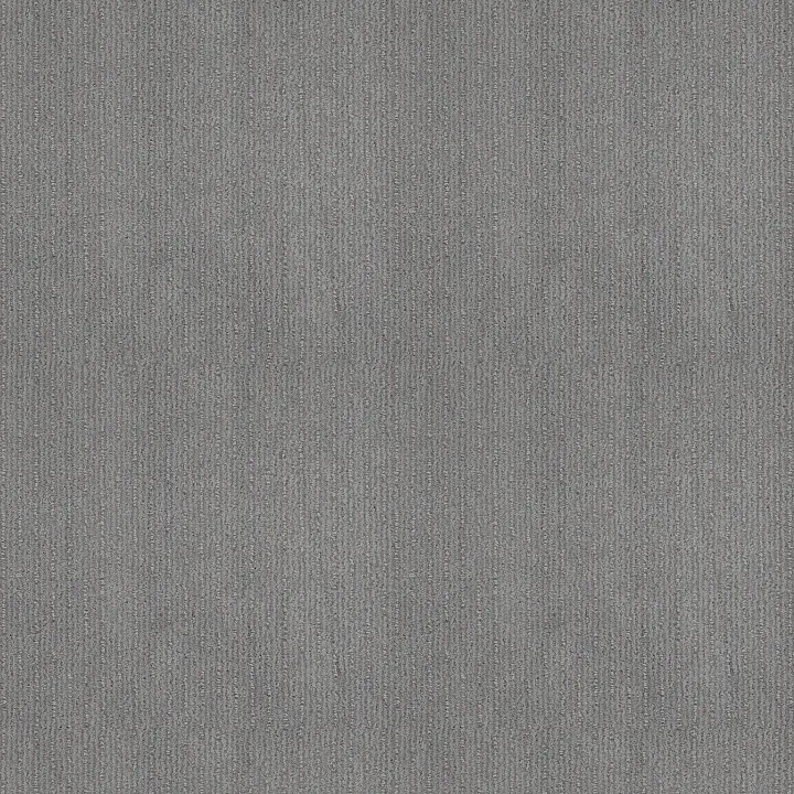 Shaw Floors Insightful Way — Silver Springs · E9719-00474 — flooring selection with LeviArs Design & Remodeling