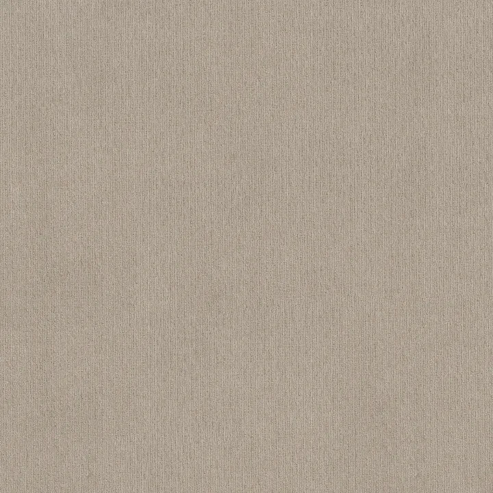 Shaw Floors Insightful Way — Studio Taupe · E9719-00173 — flooring selection with LeviArs Design & Remodeling