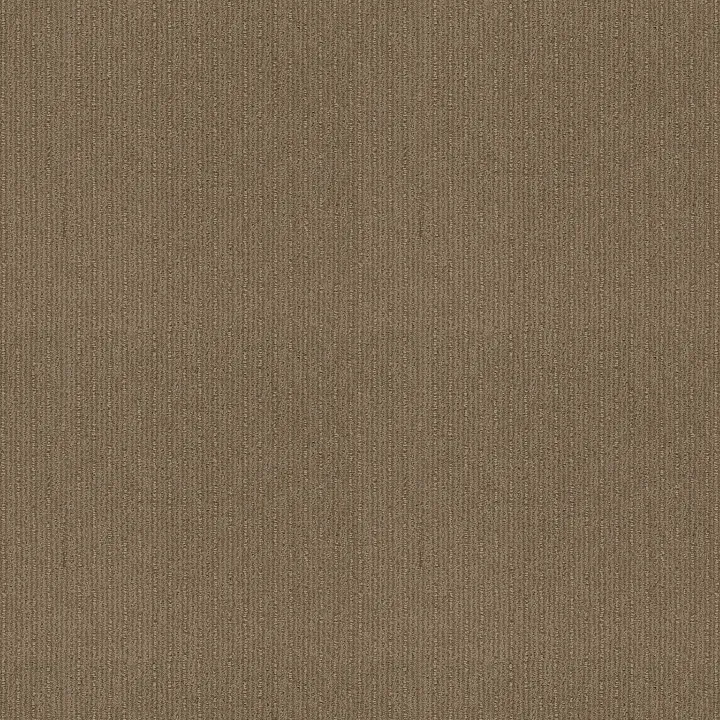 Shaw Floors Insightful Way — Summerville · E9719-00776 — flooring selection with LeviArs Design & Remodeling