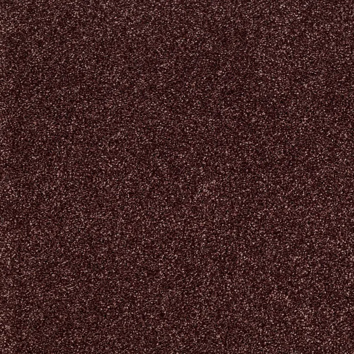 Shaw Floors Inspiring — Berry · EA508-00810 — flooring selection with LeviArs Design & Remodeling
