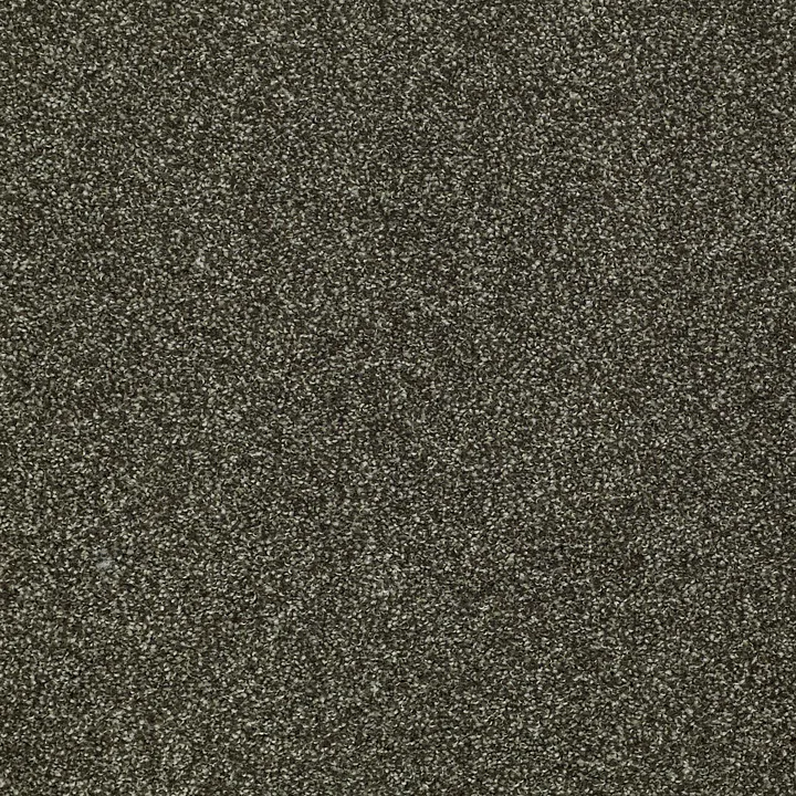 Shaw Floors Inspiring — Garden Retreat · EA508-00311 — flooring selection with LeviArs Design & Remodeling