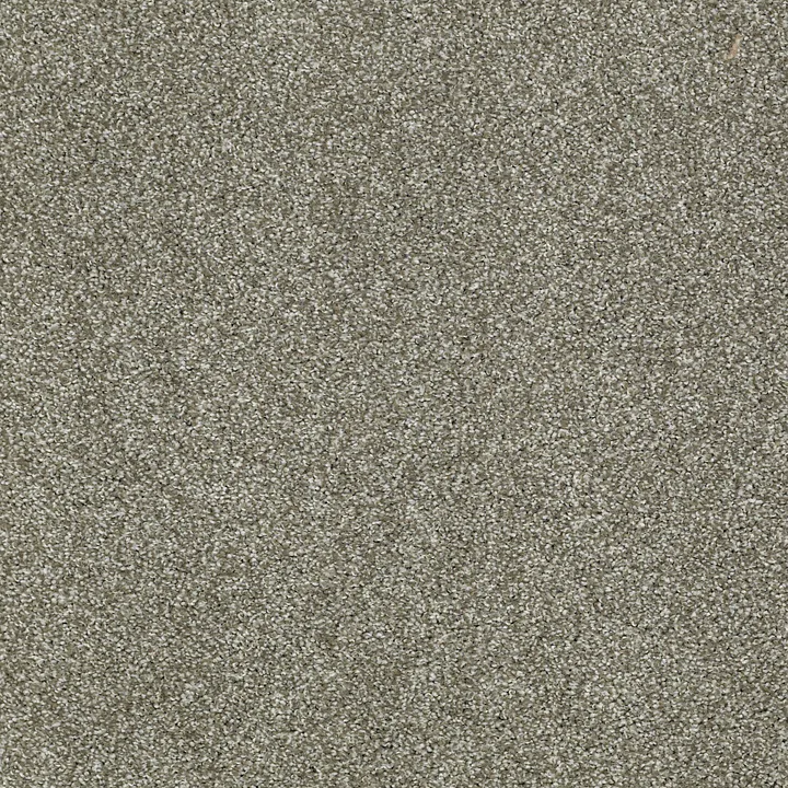 Shaw Floors Inspiring — Silver Sage · EA508-00310 — flooring selection with LeviArs Design & Remodeling