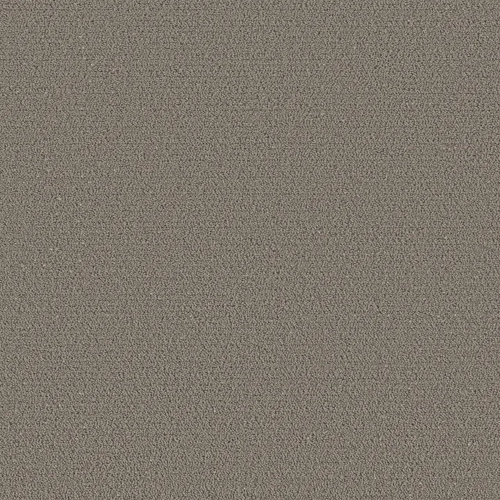 Shaw Floors Intricate Trace — Ashes · 5E587-00501 — flooring selection with LeviArs Design & Remodeling