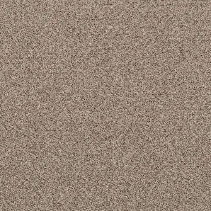 Shaw Floors Intricate Trace — Cameo · 5E587-00113 — flooring selection with LeviArs Design & Remodeling