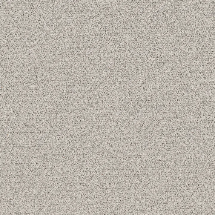 Shaw Floors Intricate Trace — Cashmere · 5E587-00104 — flooring selection with LeviArs Design & Remodeling