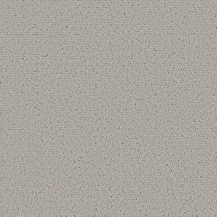 Shaw Floors Intricate Trace — Flannel · 5E587-00503 — flooring selection with LeviArs Design & Remodeling