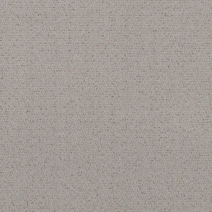 Shaw Floors Intricate Trace — Gravity · 5E587-00556 — flooring selection with LeviArs Design & Remodeling