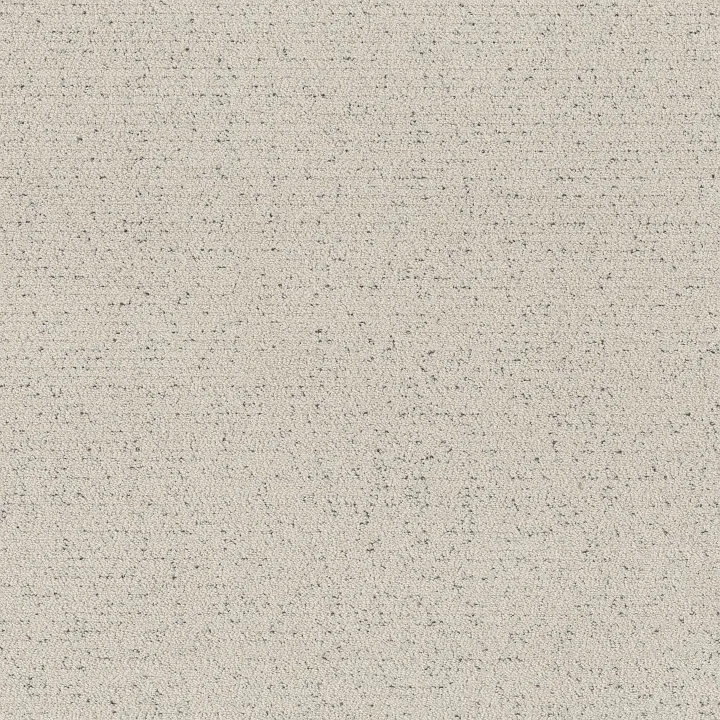 Shaw Floors Intricate Trace — Marble · 5E587-00103 — flooring selection with LeviArs Design & Remodeling