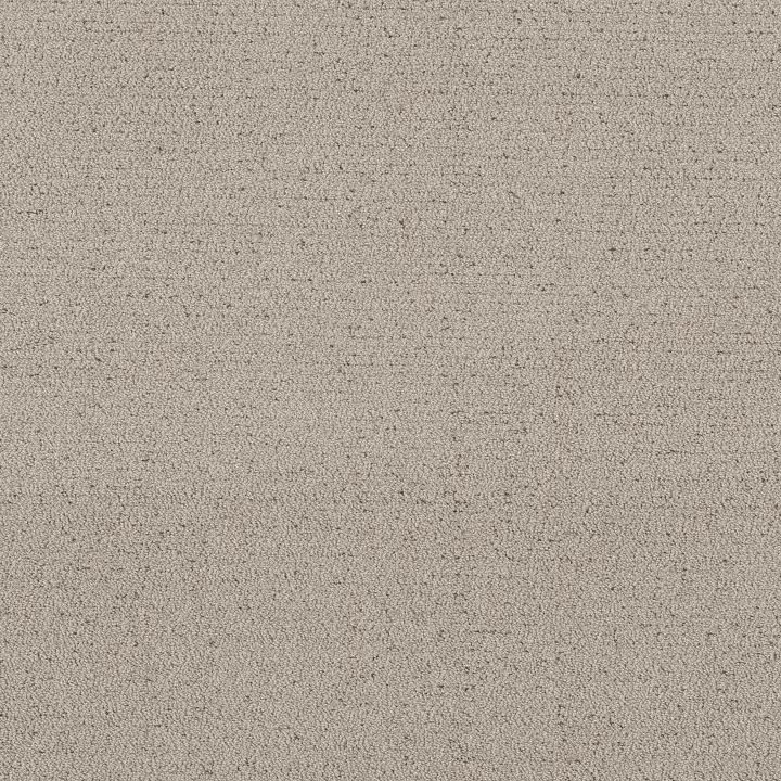Shaw Floors Intricate Trace — River Birch · 5E587-00106 — flooring selection with LeviArs Design & Remodeling
