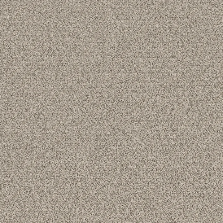 Shaw Floors Intricate Trace — Sculpture · 5E587-00115 — flooring selection with LeviArs Design & Remodeling