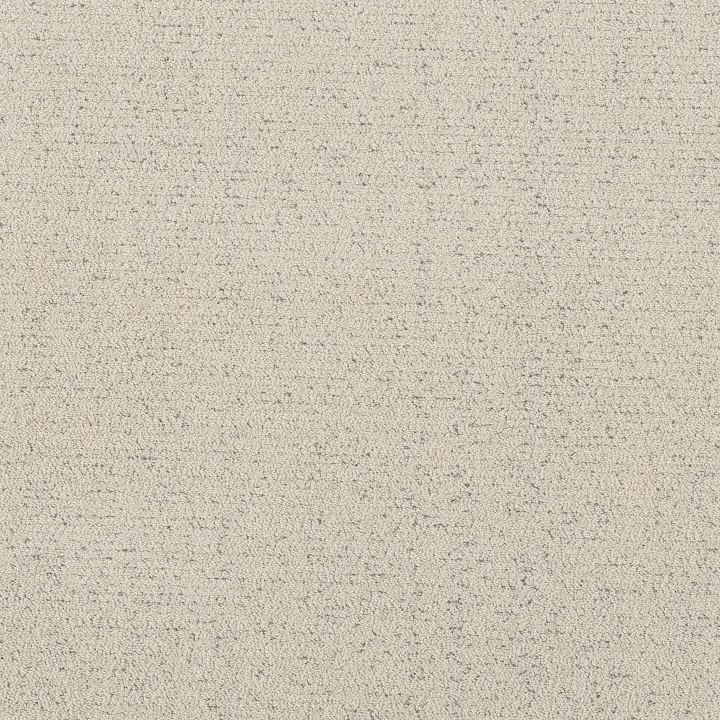 Shaw Floors Intricate Trace — Snowfall · 5E587-00150 — flooring selection with LeviArs Design & Remodeling