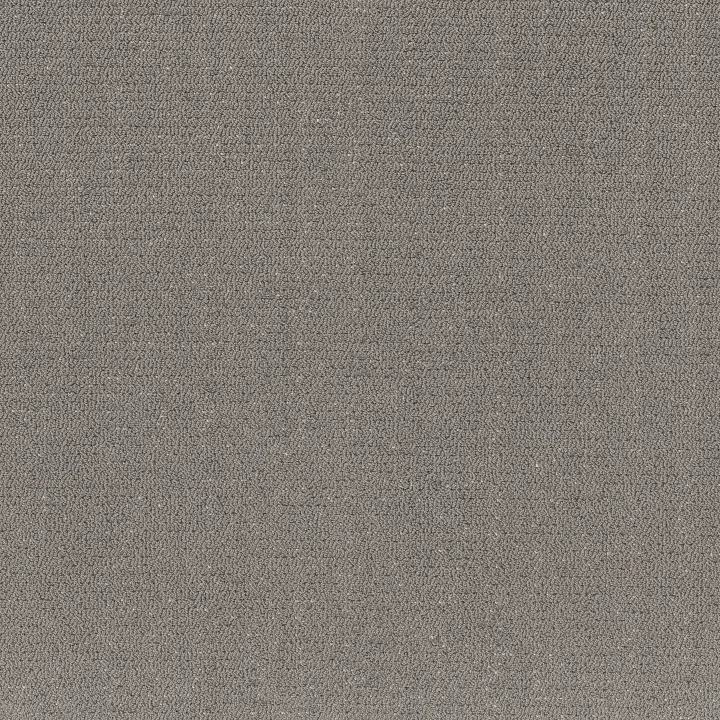 Shaw Floors Intricate Trace — Vintage · 5E587-00509 — flooring selection with LeviArs Design & Remodeling