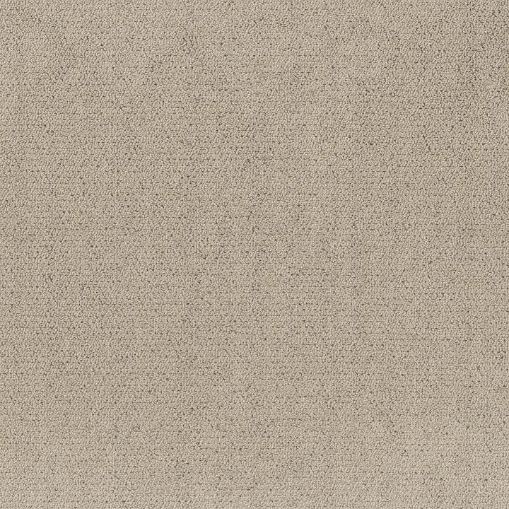 Shaw Floors Intricate Trace — Warm Light · 5E587-00116 — flooring selection with LeviArs Design & Remodeling