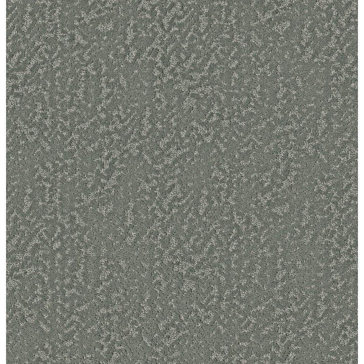 Shaw Floors Joyful Spirit — Dragonfly · 5E931-00301 — flooring selection with LeviArs Design & Remodeling