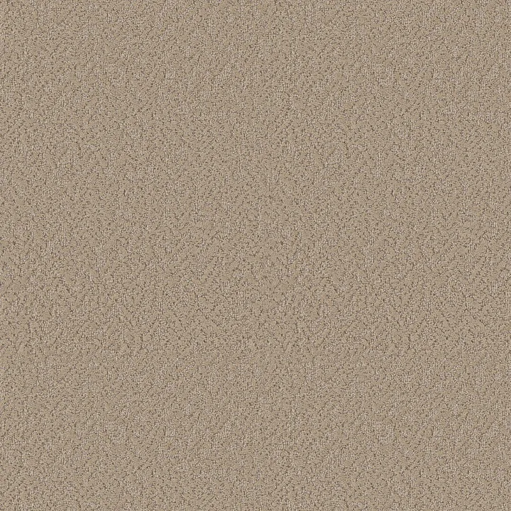 Shaw Floors Joyful Spirit — Sand Castle · 5E931-00103 — flooring selection with LeviArs Design & Remodeling