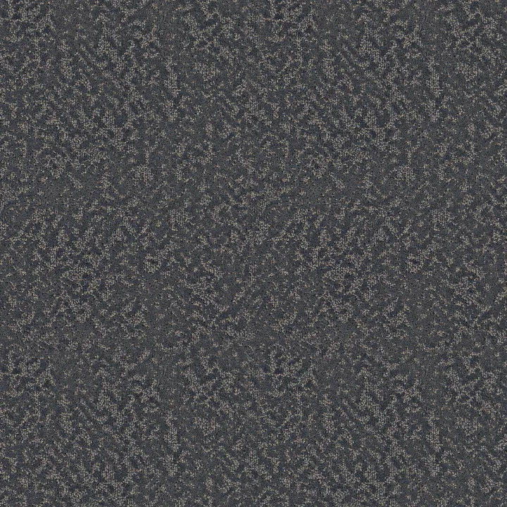 Shaw Floors Joyful Spirit — Starry Sky · 5E931-00402 — flooring selection with LeviArs Design & Remodeling