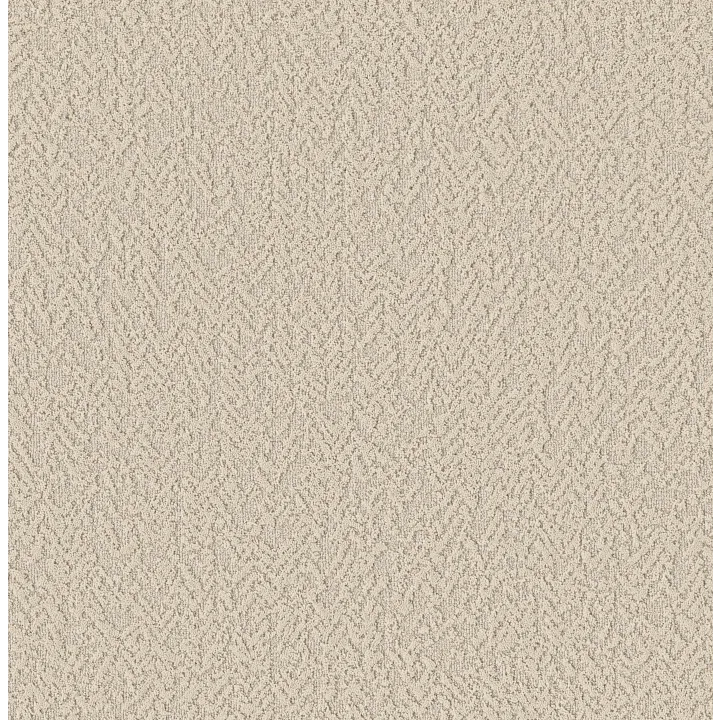 Shaw Floors Joyful Spirit — Whiskers · 5E931-00100 — flooring selection with LeviArs Design & Remodeling