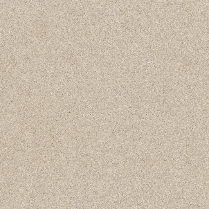 Shaw Floors Keen Senses II — Alabaster · E9715-00172 — flooring selection with LeviArs Design & Remodeling