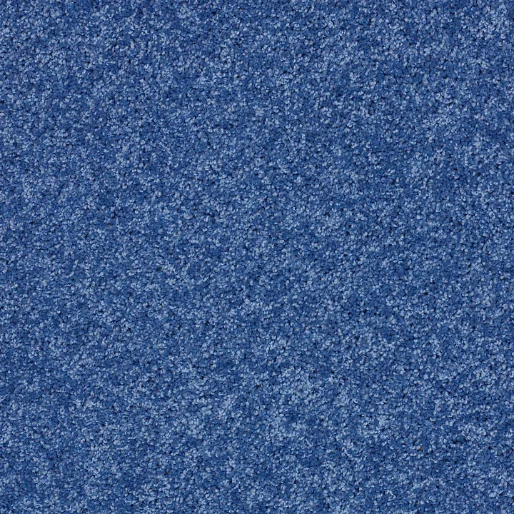 Shaw Floors Kids Rule — Cobalt Vibe · EA128-00431 — flooring selection with LeviArs Design & Remodeling