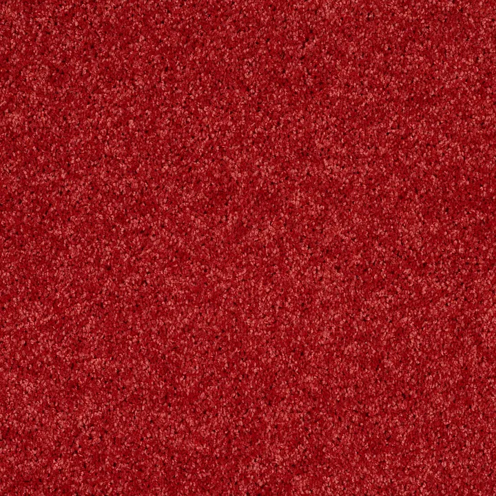 Shaw Floors Kids Rule — Fire Engine · EA128-00832 — flooring selection with LeviArs Design & Remodeling