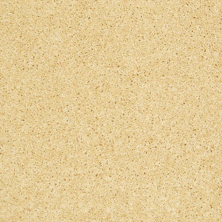 Shaw Floors Kids Rule — Lemon Drop · EA128-00230 — flooring selection with LeviArs Design & Remodeling
