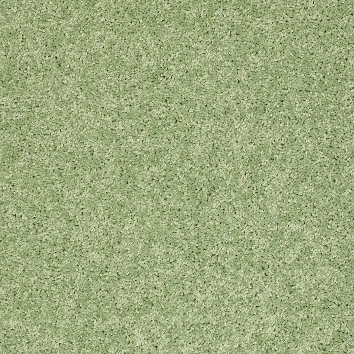 Shaw Floors Kids Rule — Limeade · EA128-00330 — flooring selection with LeviArs Design & Remodeling