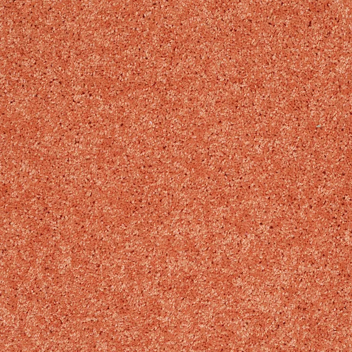 Shaw Floors Kids Rule — Tangerine Twist · EA128-00630 — flooring selection with LeviArs Design & Remodeling