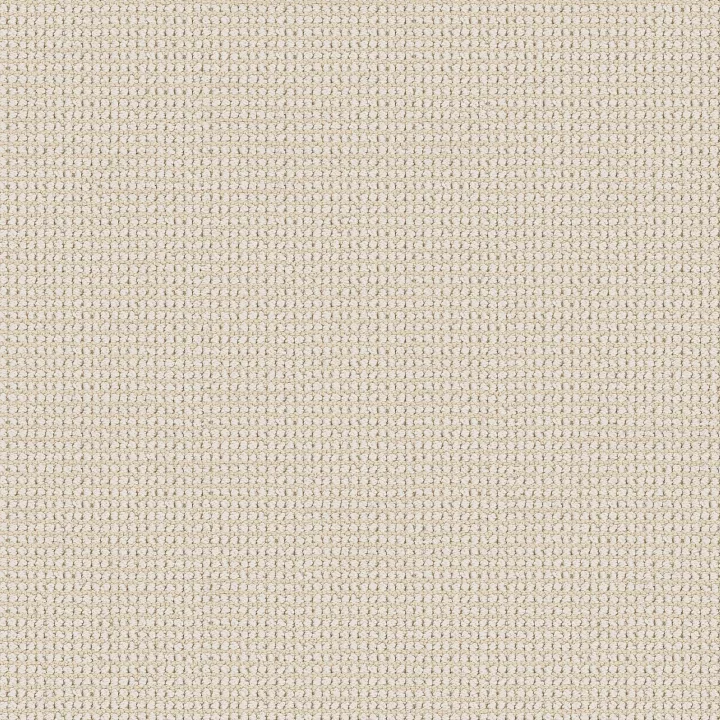 Shaw Floors Knitted Tone Blue — Alpine Snow · 5E938-00150 — flooring selection with LeviArs Design & Remodeling