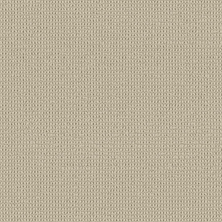 Shaw Floors Knitted Tone Blue — Baja · 5E938-00106 — flooring selection with LeviArs Design & Remodeling