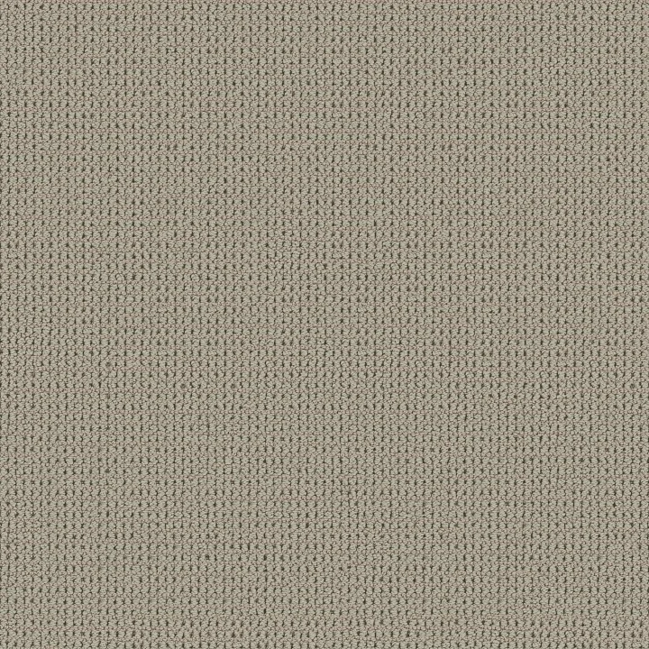 Shaw Floors Knitted Tone — Frosted Sage · 5E917-00320 — flooring selection with LeviArs Design & Remodeling