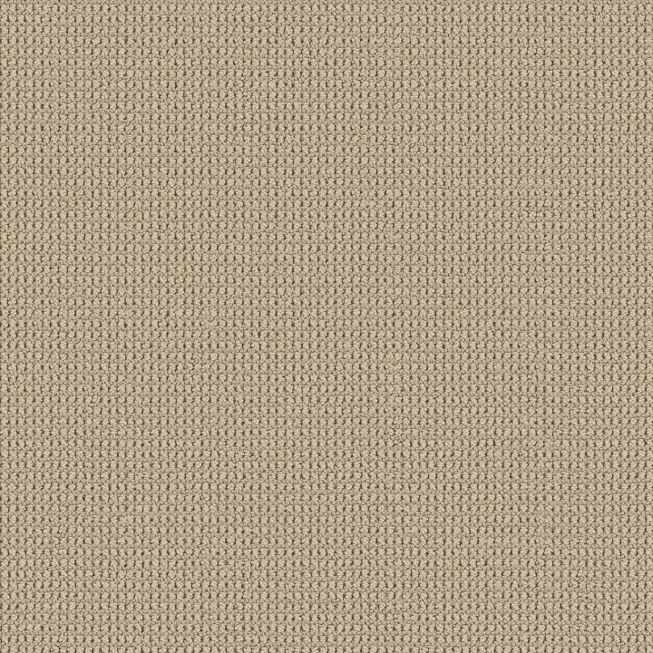 Shaw Floors Knitted Tone Blue — Safari · 5E938-00110 — flooring selection with LeviArs Design & Remodeling