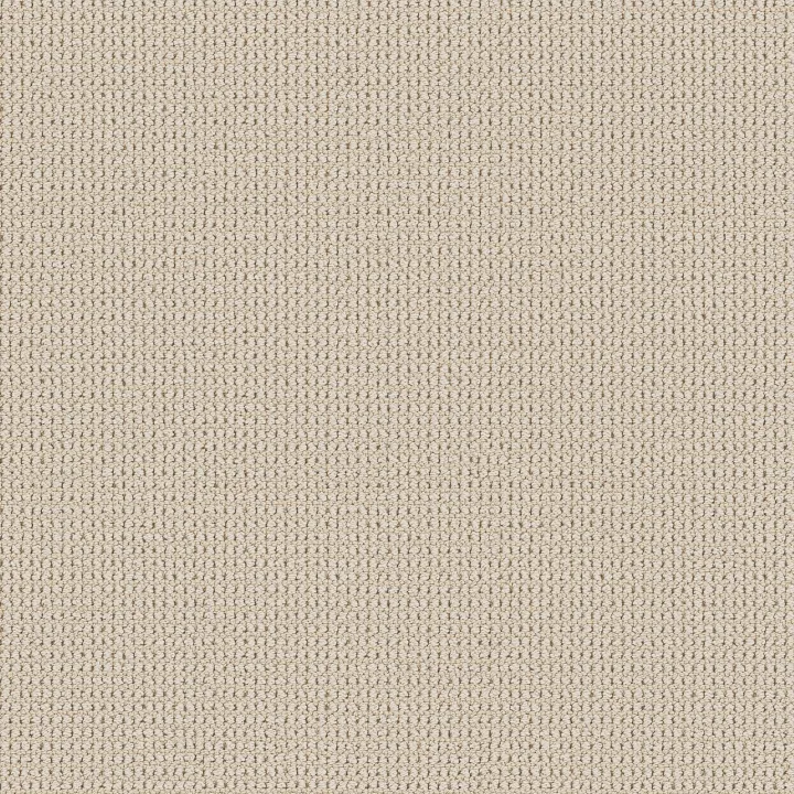 Shaw Floors Knitted Tone Blue — Sweet Cream · 5E938-00100 — flooring selection with LeviArs Design & Remodeling