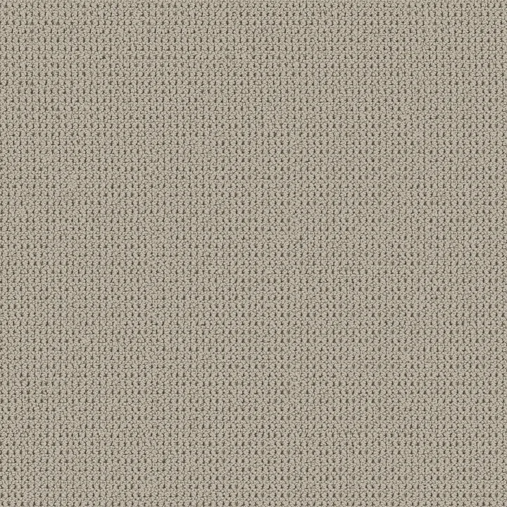 Shaw Floors Knitted Tone Blue — Twilight Taupe · 5E938-00109 — flooring selection with LeviArs Design & Remodeling