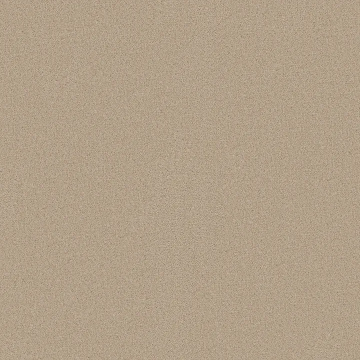 Shaw Floors Las Cruces — All Natural · 5E820-00112 — flooring selection with LeviArs Design & Remodeling
