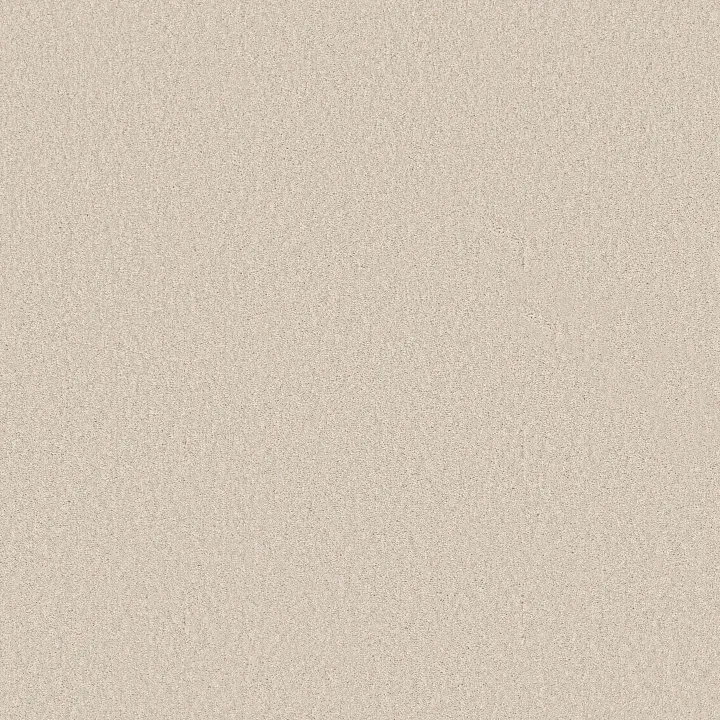 Shaw Floors Las Cruces — Breeze · 5E820-00151 — flooring selection with LeviArs Design & Remodeling