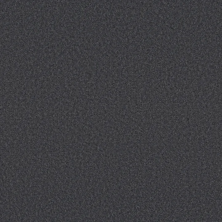 Shaw Floors Las Cruces — Charter · 5E820-00450 — flooring selection with LeviArs Design & Remodeling