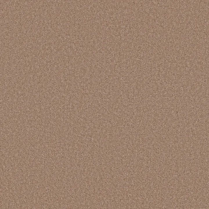 Shaw Floors Las Cruces — Copper Moon · 5E820-00750 — flooring selection with LeviArs Design & Remodeling