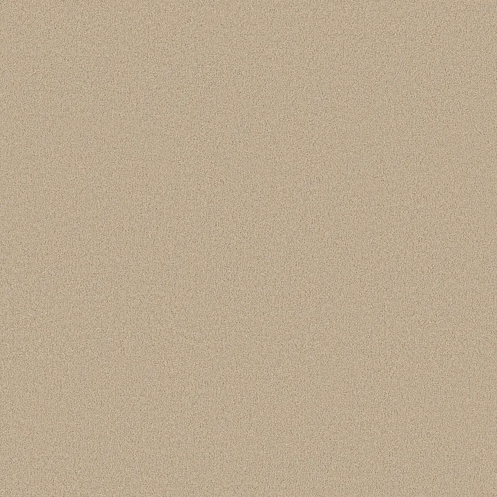 Shaw Floors Las Cruces — Cream Puff · 5E820-00111 — flooring selection with LeviArs Design & Remodeling