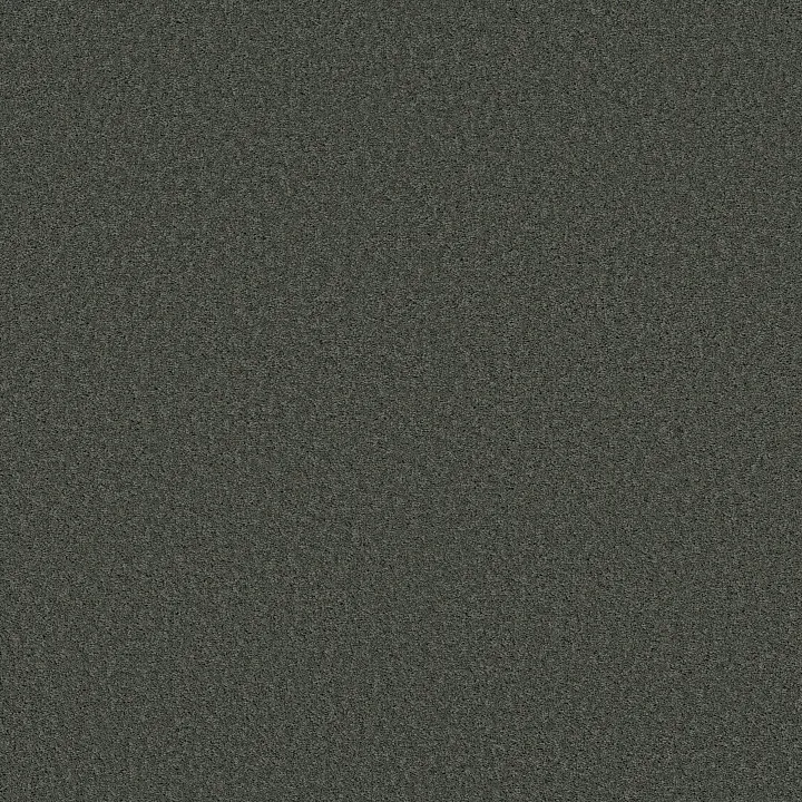 Shaw Floors Las Cruces — Fig Leaf · 5E820-00350 — flooring selection with LeviArs Design & Remodeling