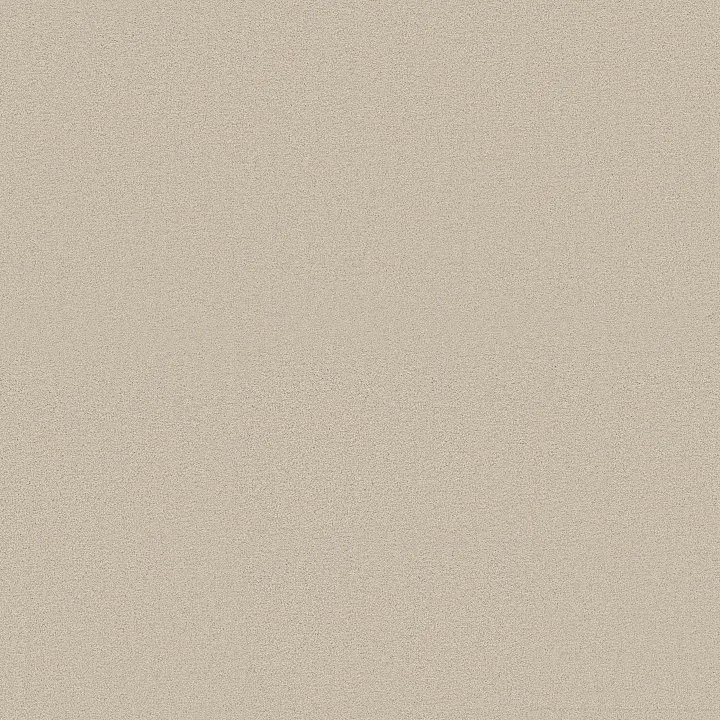 Shaw Floors Las Cruces — Fresh Perspective · 5E820-00117 — flooring selection with LeviArs Design & Remodeling