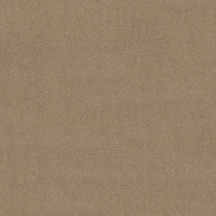 Shaw Floors Las Cruces — Hickory · 5E820-00711 — flooring selection with LeviArs Design & Remodeling
