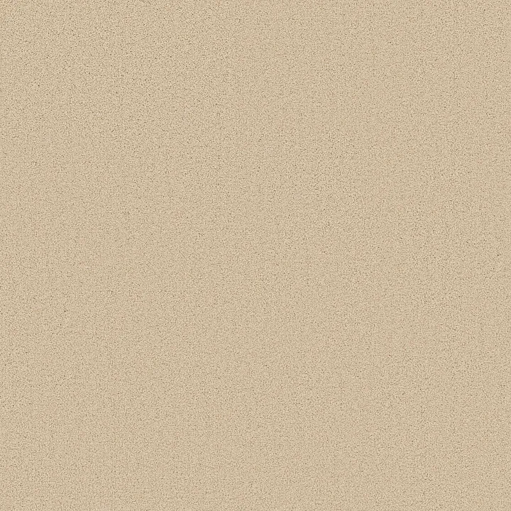 Shaw Floors Las Cruces — Plaster · 5E820-00103 — flooring selection with LeviArs Design & Remodeling