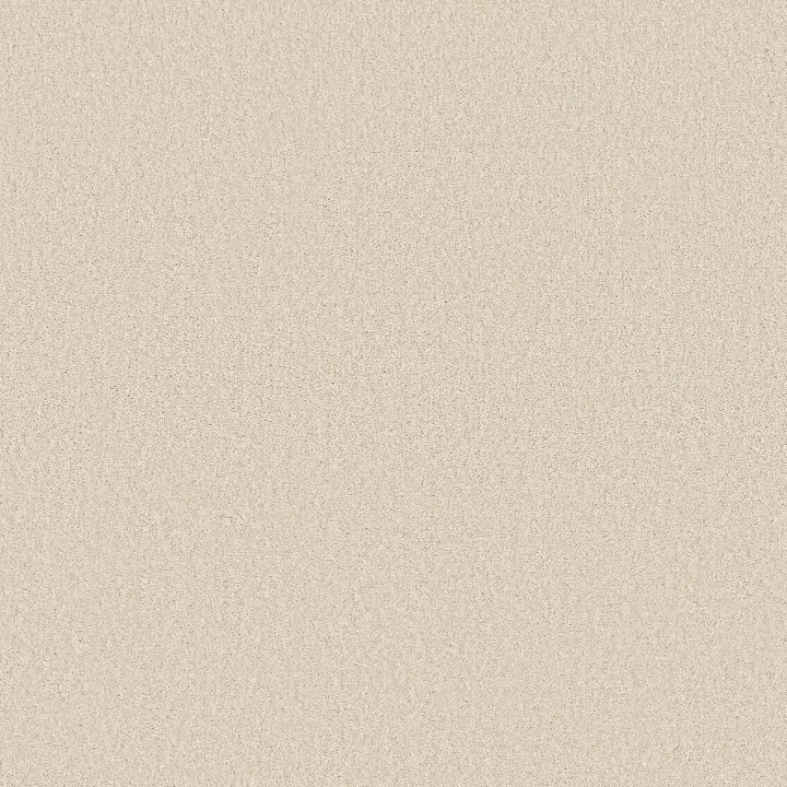 Shaw Floors Las Cruces — Polar Bear · 5E820-00150 — flooring selection with LeviArs Design & Remodeling