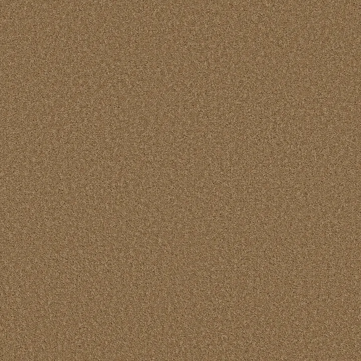 Shaw Floors Las Cruces — Radiance · 5E820-00250 — flooring selection with LeviArs Design & Remodeling