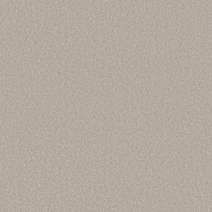 Shaw Floors Las Cruces — Reflective · 5E820-00153 — flooring selection with LeviArs Design & Remodeling