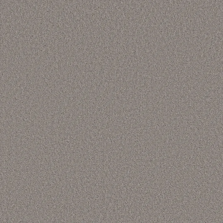 Shaw Floors Las Cruces — Willow Creek · 5E820-00752 — flooring selection with LeviArs Design & Remodeling