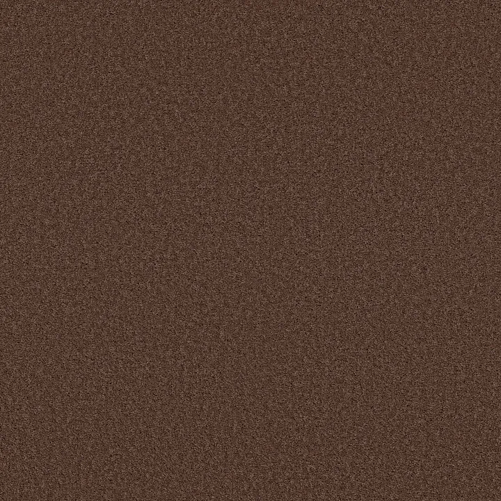 Shaw Floors Las Cruces — Wood Grain · 5E820-00751 — flooring selection with LeviArs Design & Remodeling