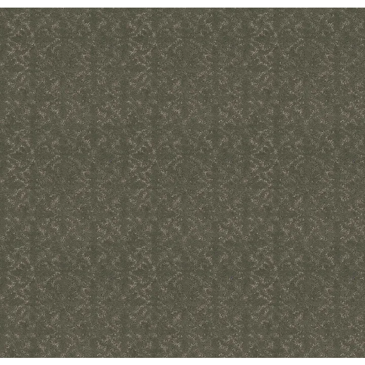 Shaw Floors Light Impressions — Rerooted Nature · 5E584-00300 — flooring selection with LeviArs Design & Remodeling